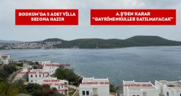 Yazın Yıldızı Mor Plaj