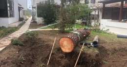 Patlayan boru ağacı yuttu