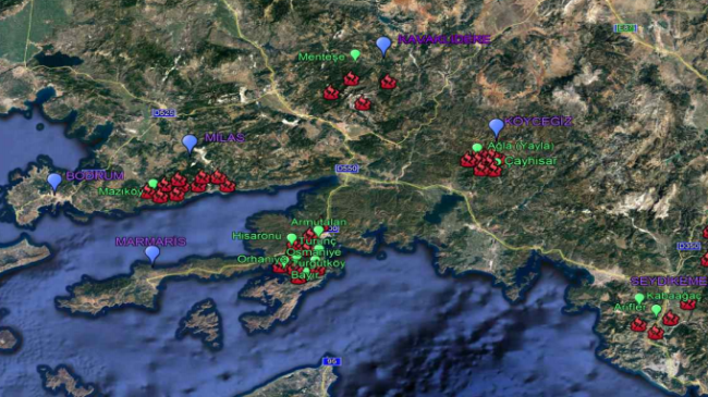 Muğla’da yangın raporu… İşte son durum