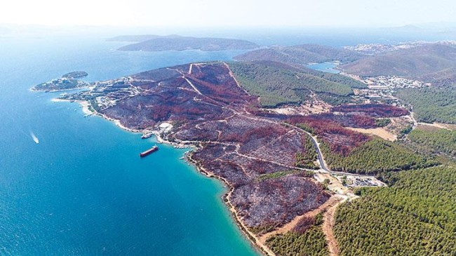 Muğla’da dumansız tehlikeye dikkat!