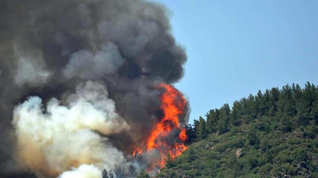Marmaris ‘de Orman Yangını