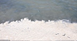 Datça Sahilinde Korkutan Görüntü